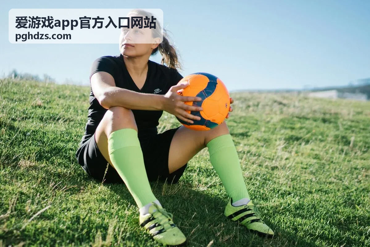 爱游戏app官方入口网站安装与版本更新条目配图