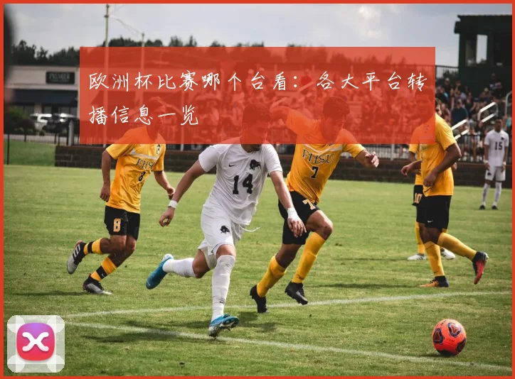 欧洲杯比赛哪个台看：各大平台转播信息一览