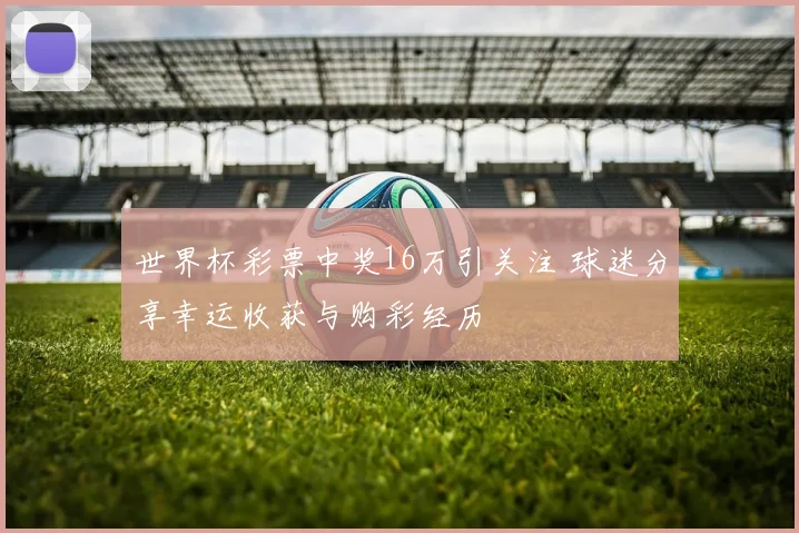 世界杯彩票中奖16万引关注 球迷分享幸运收获与购彩经历