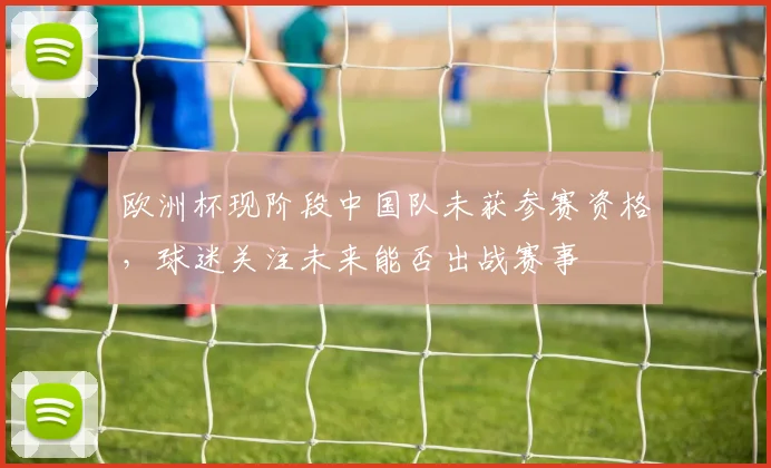 欧洲杯现阶段中国队未获参赛资格,球迷关注未来能否出战赛事